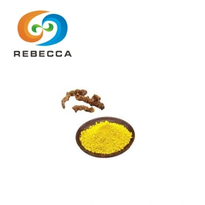 Berberine Powder Bulk